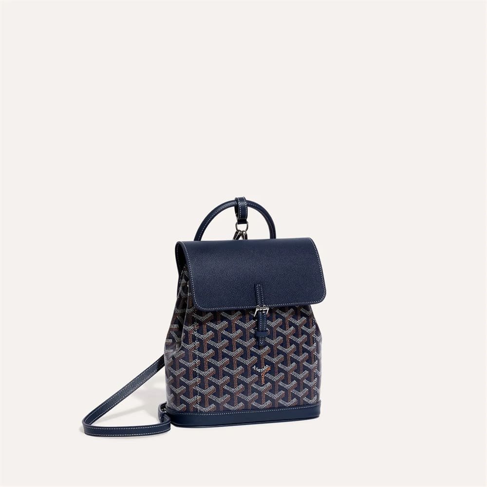 Goyard Alpin Mini Backpack – Bag-Edit