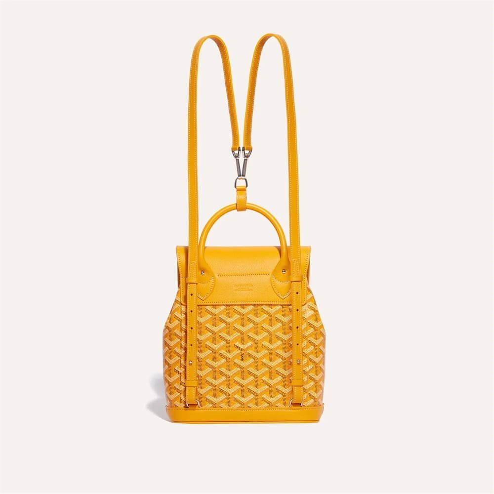 Goyard Alpin Mini Backpack – Bag-Edit