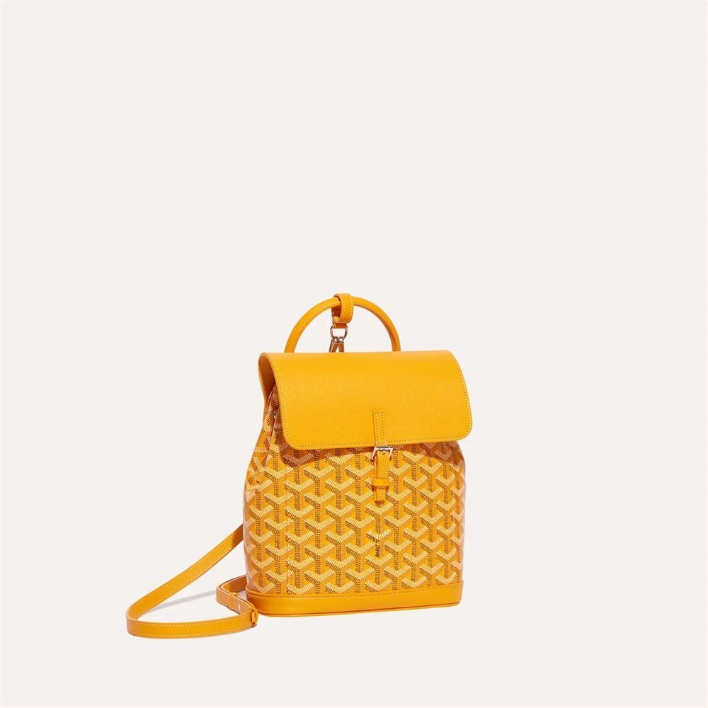 Goyard Alpin Mini Backpack – Bag-Edit