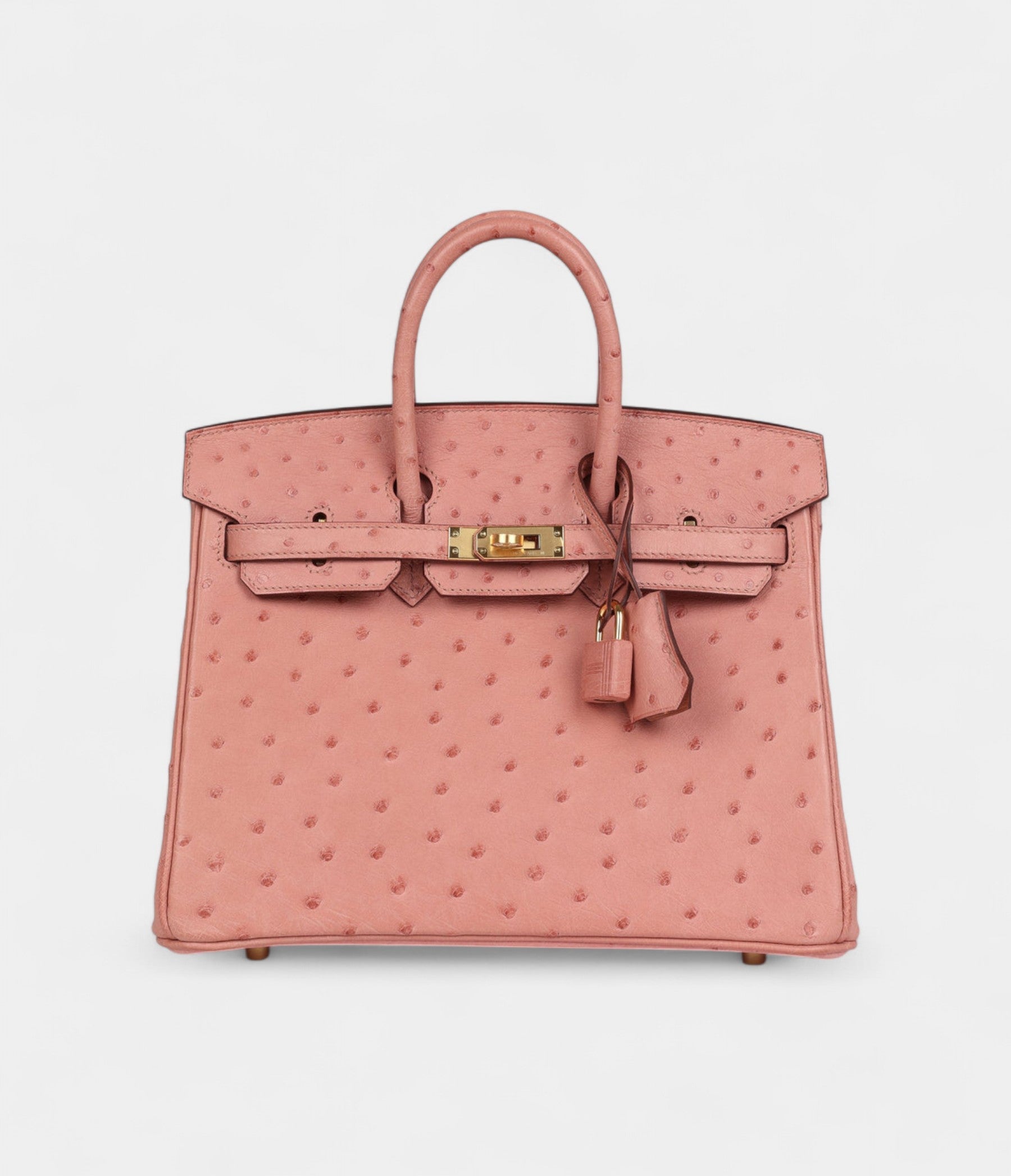 Hermès Birkin 25 Terre Cuite Ostrich Gold Hardware