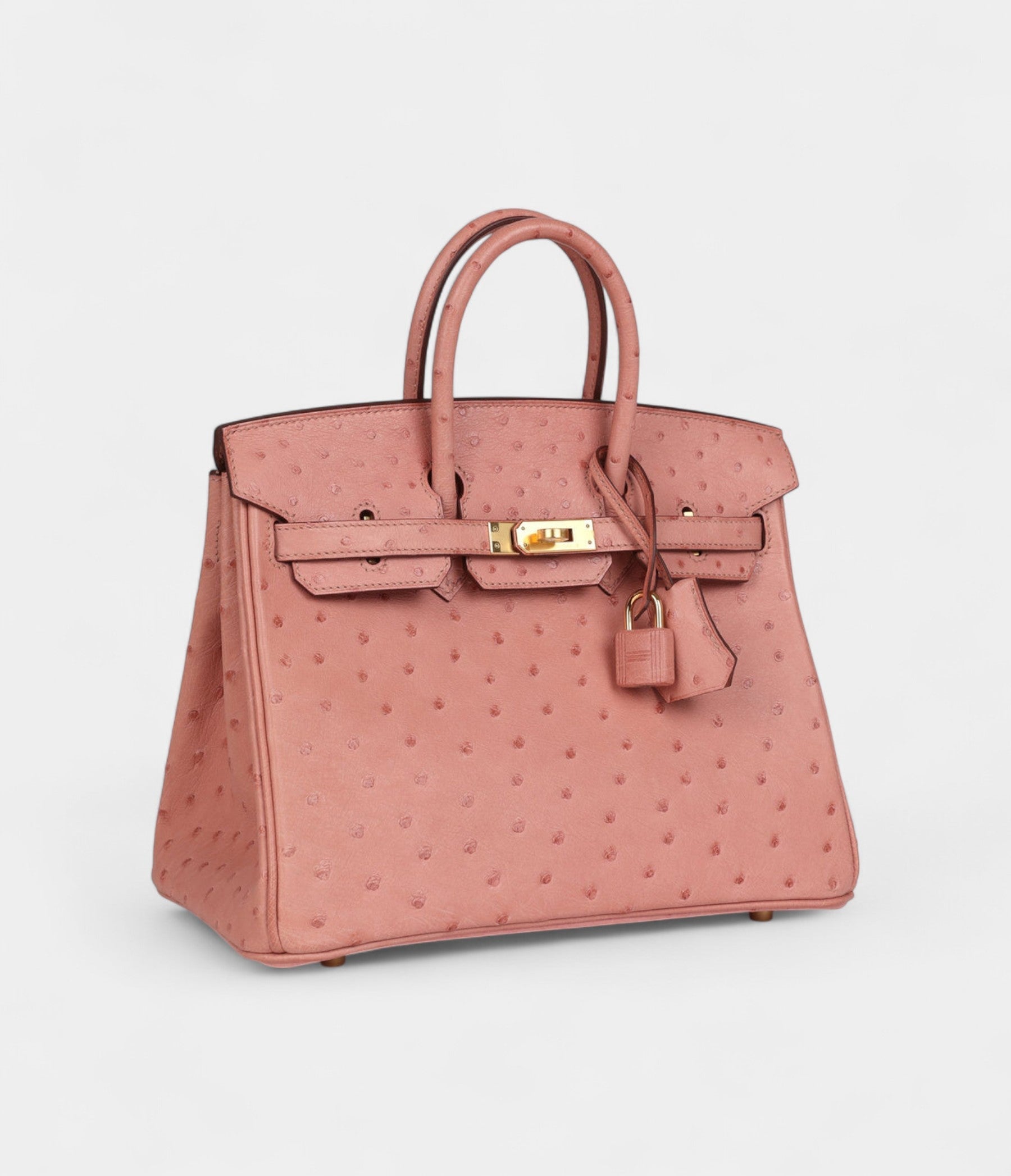 Hermès Birkin 25 Terre Cuite Ostrich Gold Hardware
