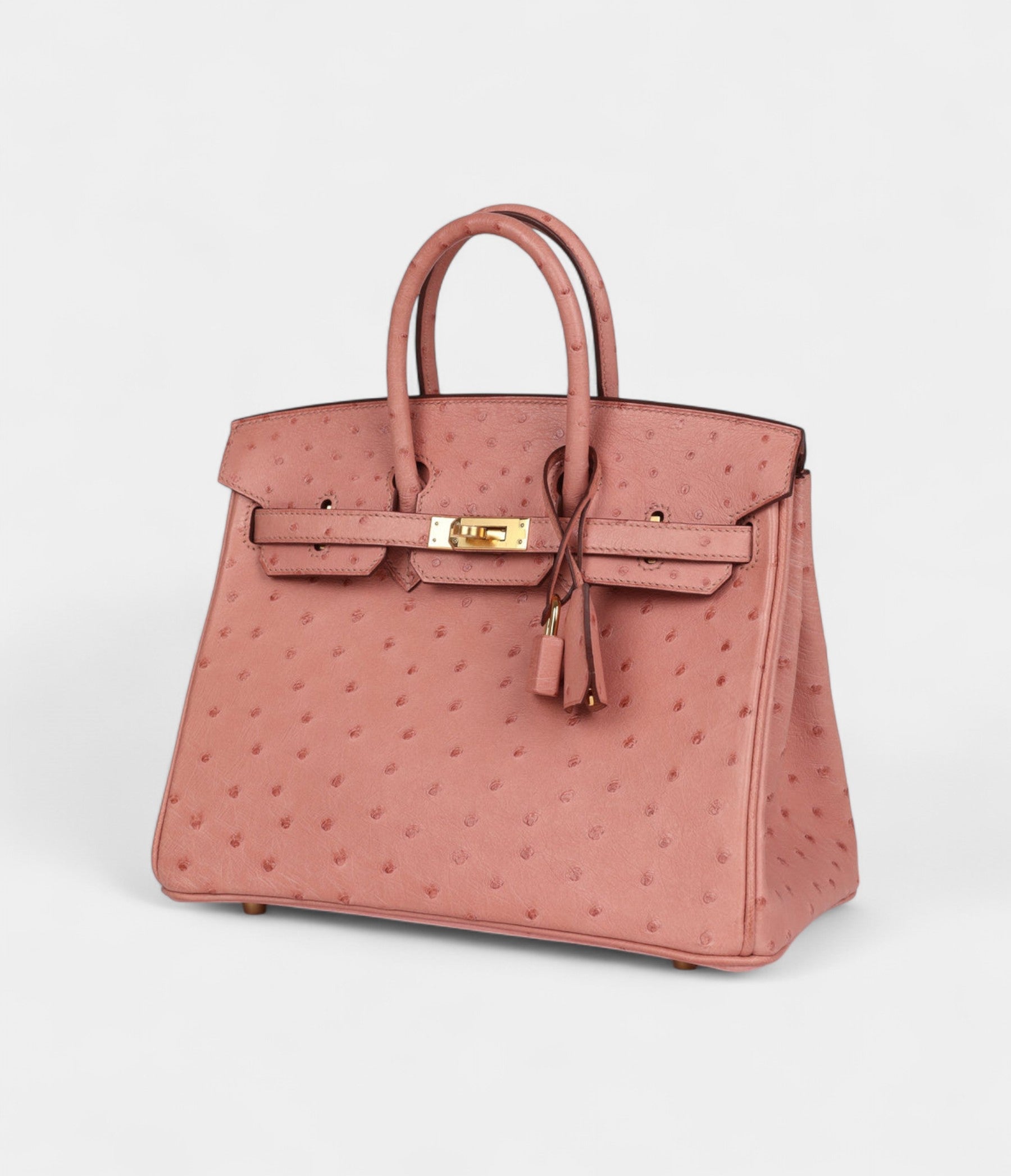 Hermès Birkin 25 Terre Cuite Ostrich Gold Hardware