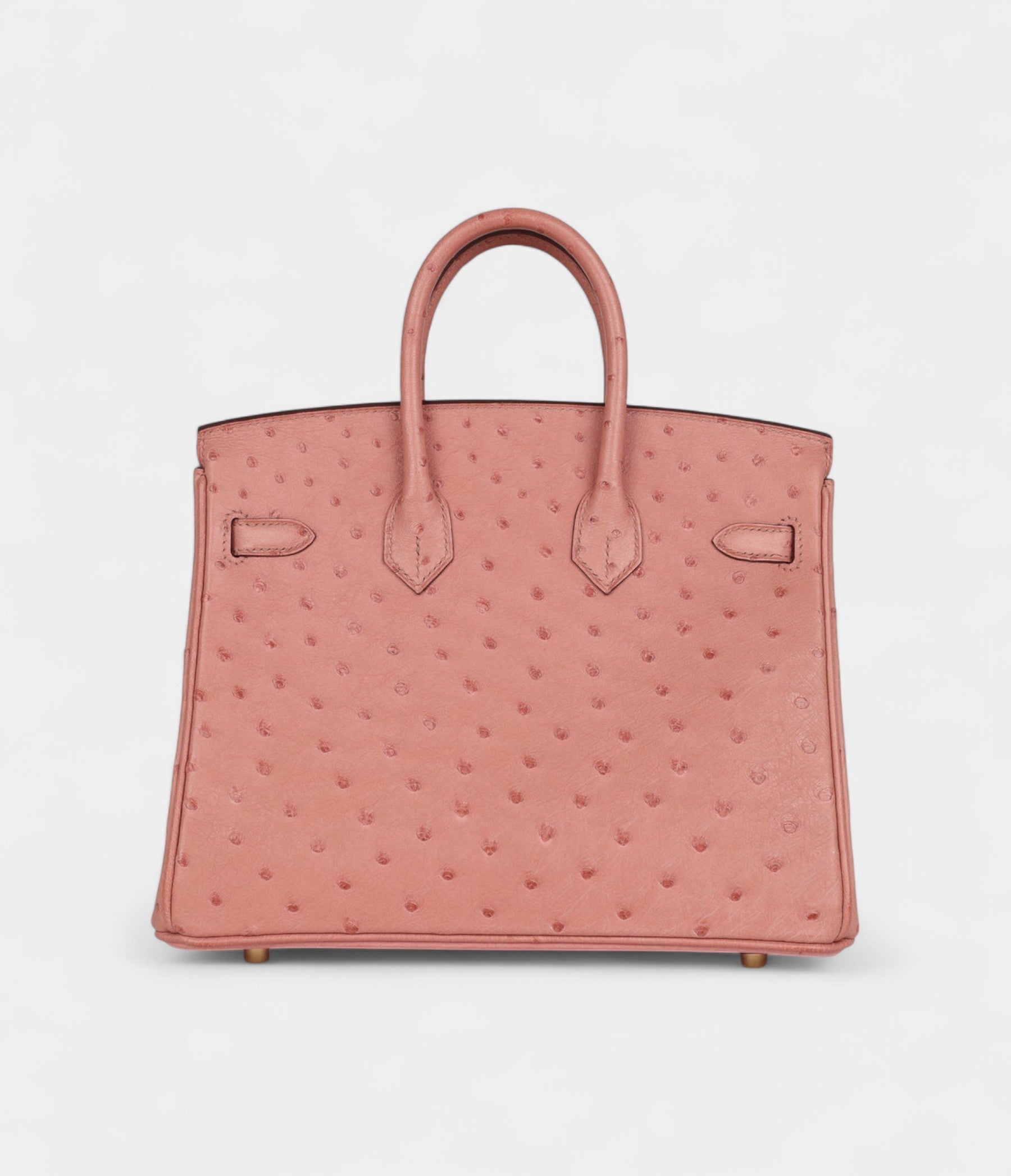 Hermès Birkin 25 Terre Cuite Ostrich Gold Hardware