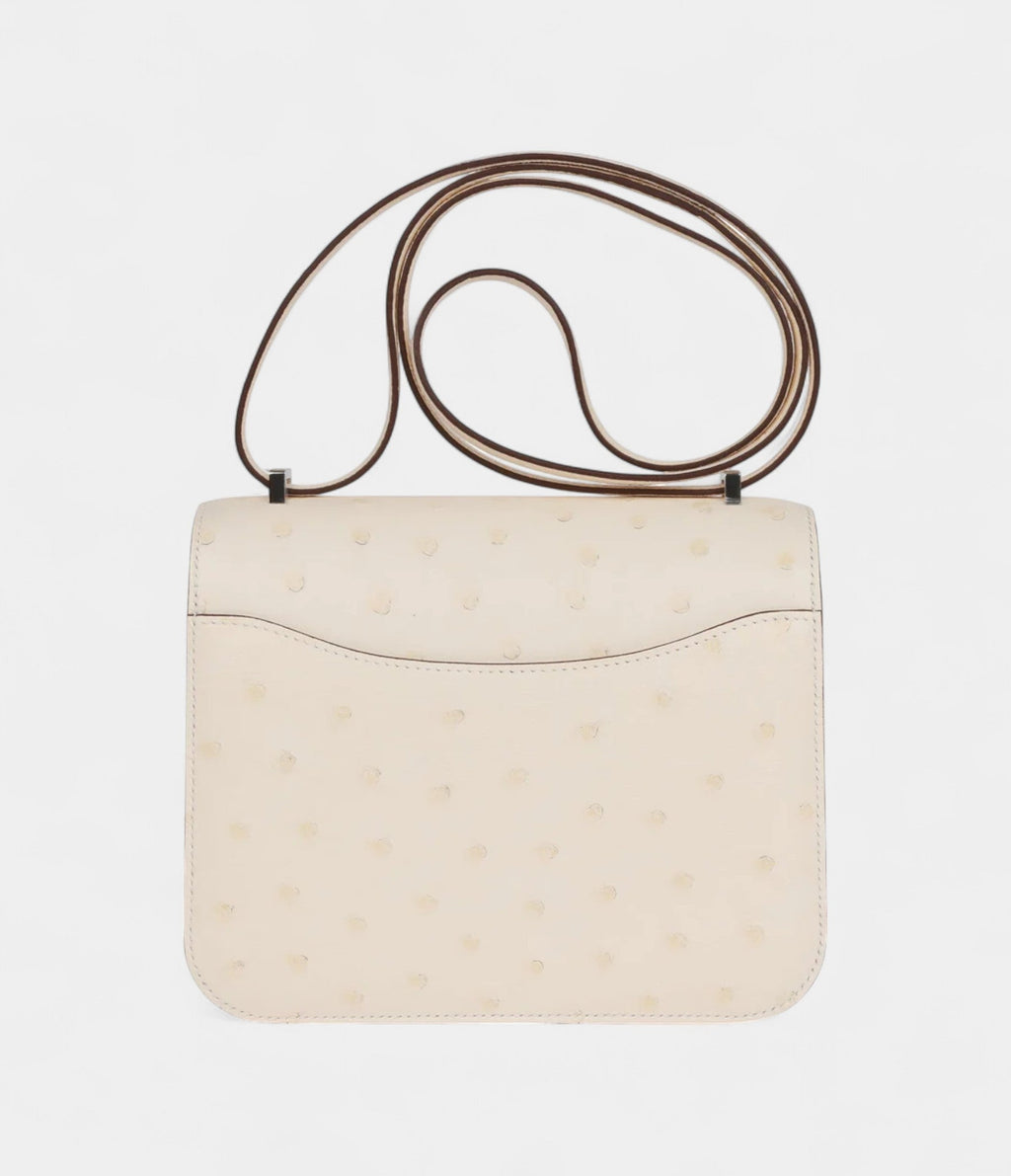 Hermès Constance 18 Nata Ostrich Palladium Hardware