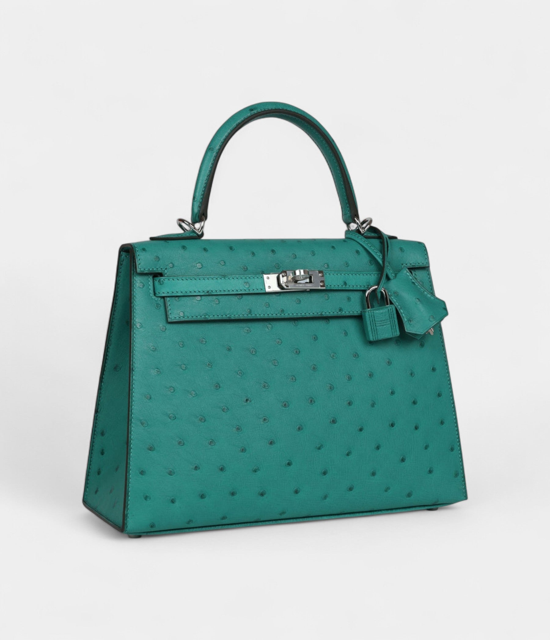 Hermes Kelly 25 Verone Ostrich Palladium Hardware