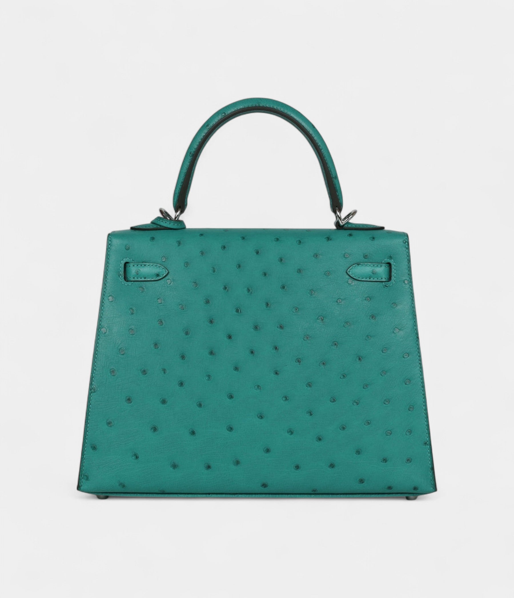 Hermes Kelly 25 Verone Ostrich Palladium Hardware
