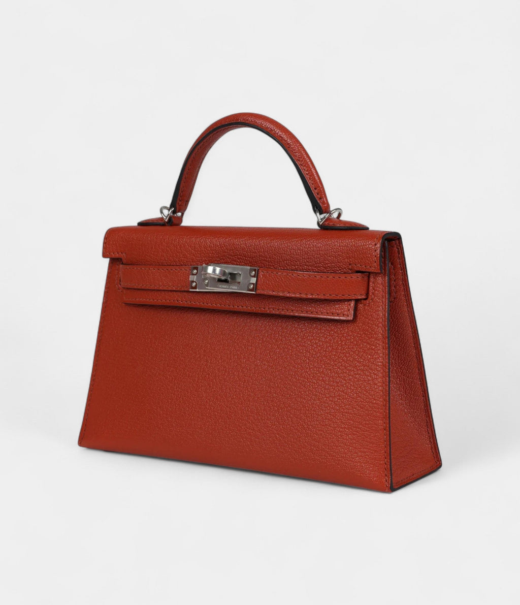 Hermès Kelly Sellier 20 Copper Goat Mysore Palladium Hardware