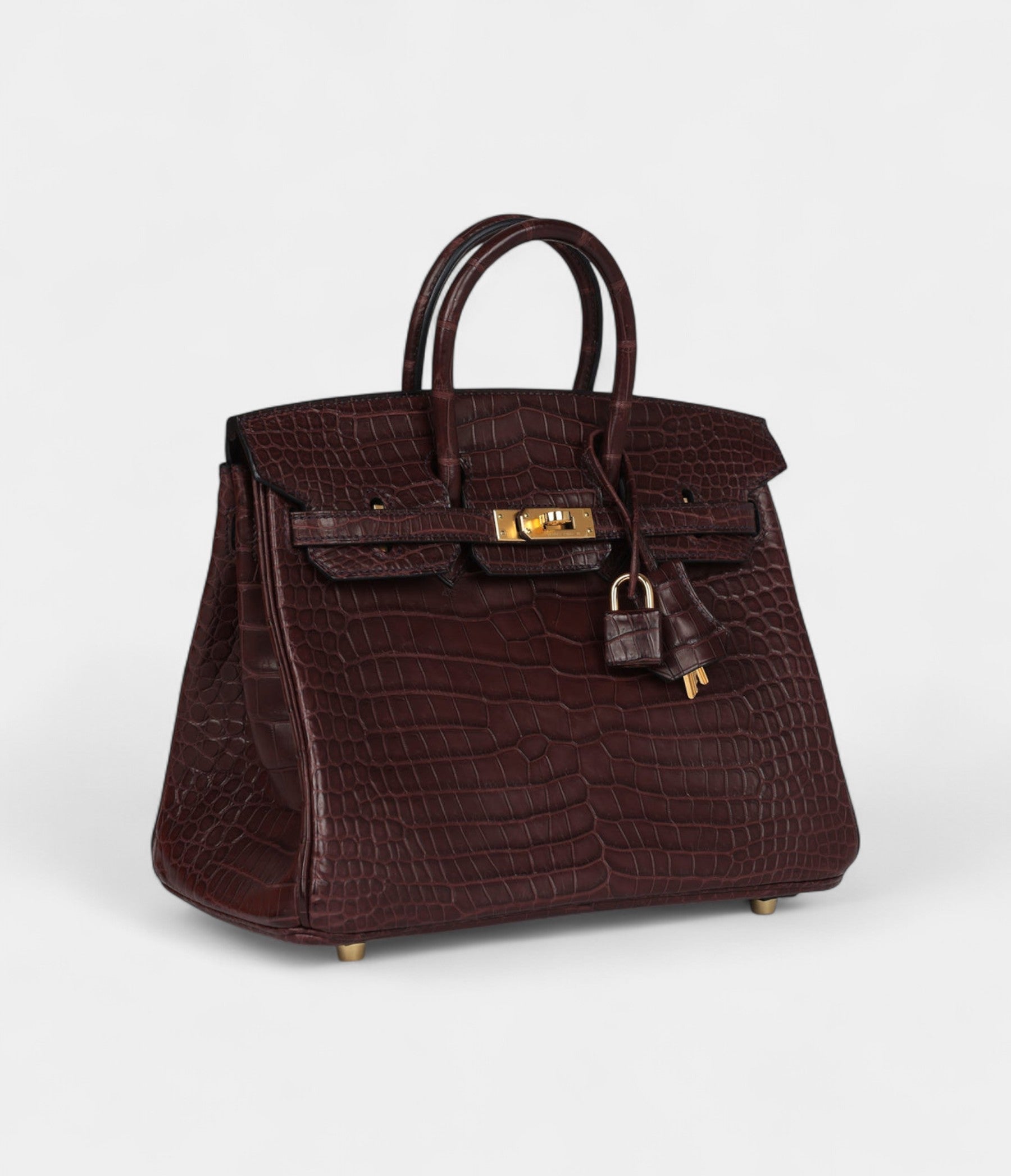 Hermès Birkin 25 Rouge Sellier Matte Porosus Crocodile Gold Hardware