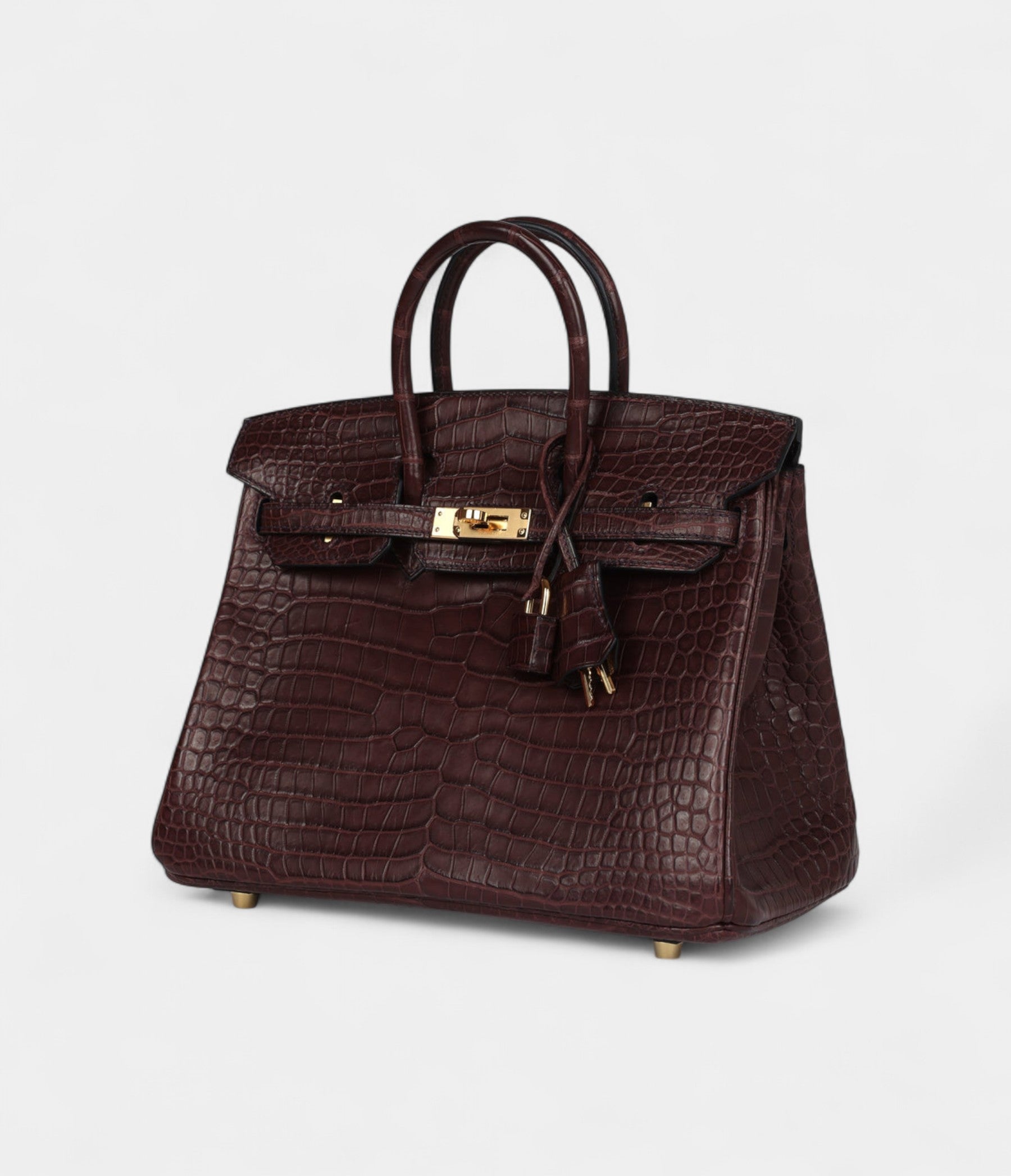 Hermès Birkin 25 Rouge Sellier Matte Porosus Crocodile Gold Hardware