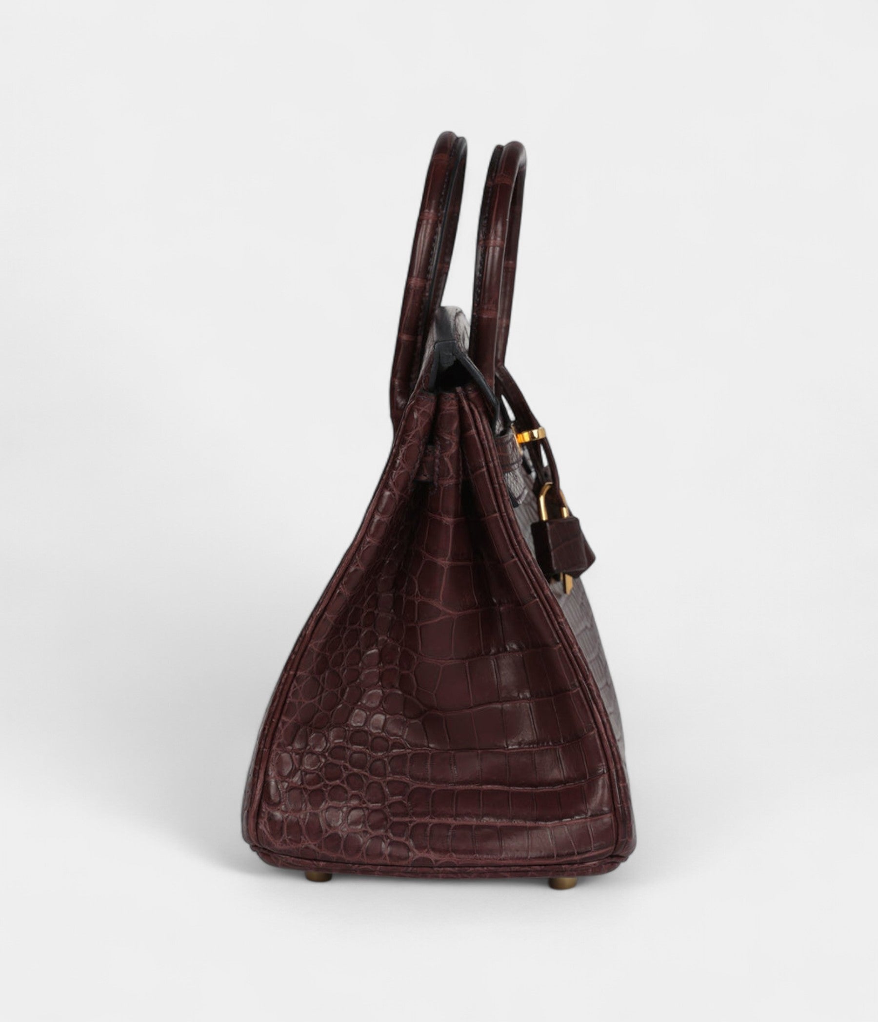 Hermès Birkin 25 Rouge Sellier Matte Porosus Crocodile Gold Hardware